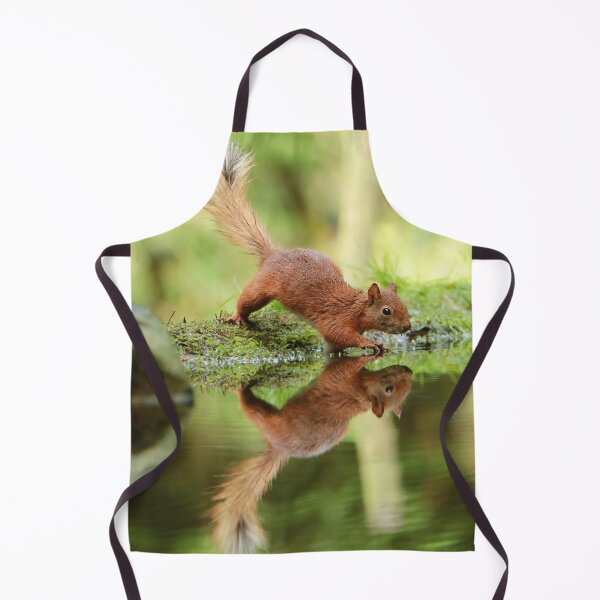 Item preview, Cute Red Squirrel 5 designed and sold by HelkoryoArt.