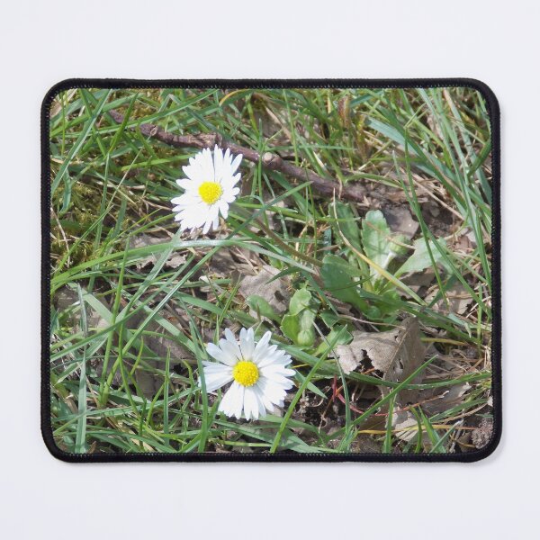 Item preview, daisies designed and sold by Naomi80.