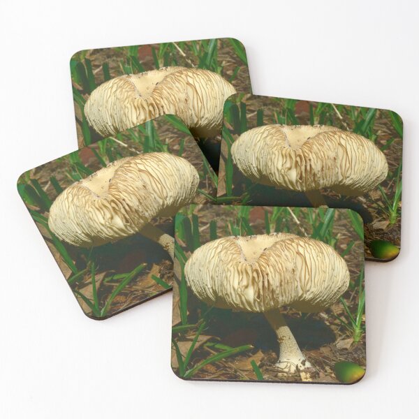 Item preview, Puffed Mushroom  designed and sold by MercerImages.