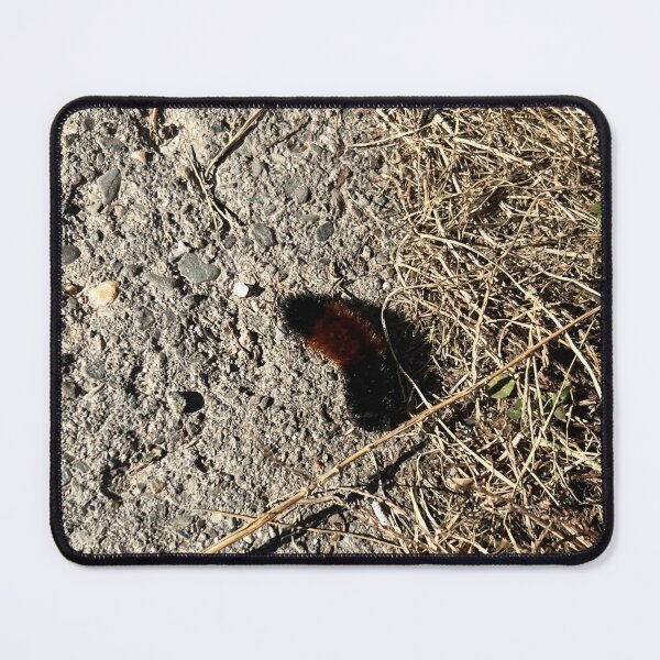 Item preview, Caterpillar designed and sold by Stephanie Fay.