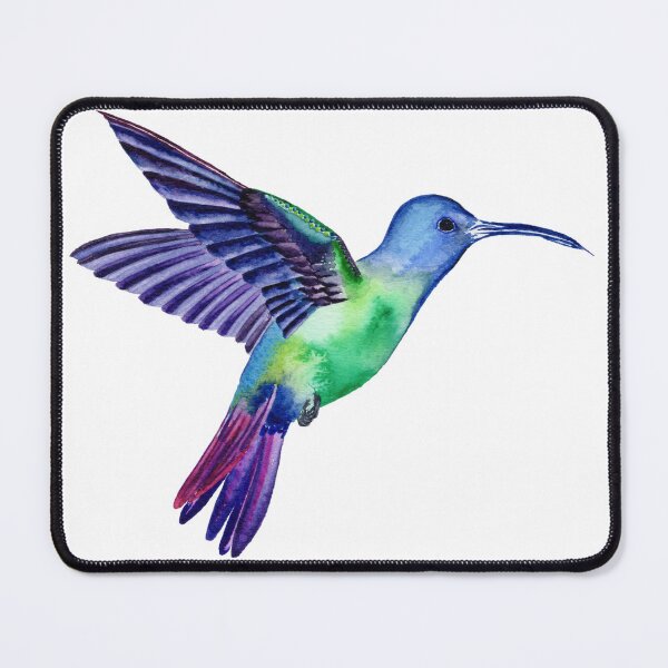 Item preview, Hummingbird, sapphire bellied hummingbird, rare bird painting designed and sold by ChaseWilderness.