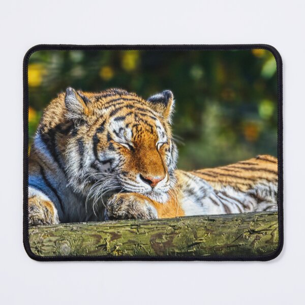 Item preview, Tiger Resting 5 designed and sold by HelkoryoArt.