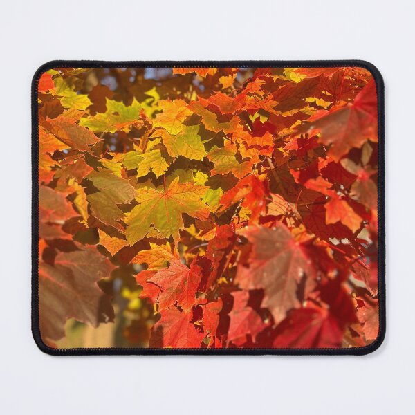 Item preview, Fall leaves designed and sold by Lauracolleen3.