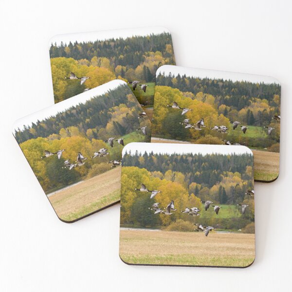 Item preview, Fall colors. Barnacle goose designed and sold by Jouko Lehto Photography.