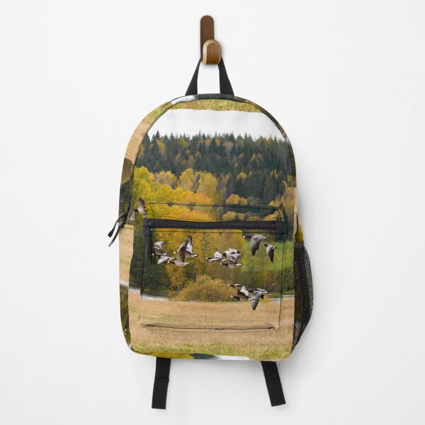 Item preview, Fall colors. Barnacle goose designed and sold by Jouko Lehto Photography.