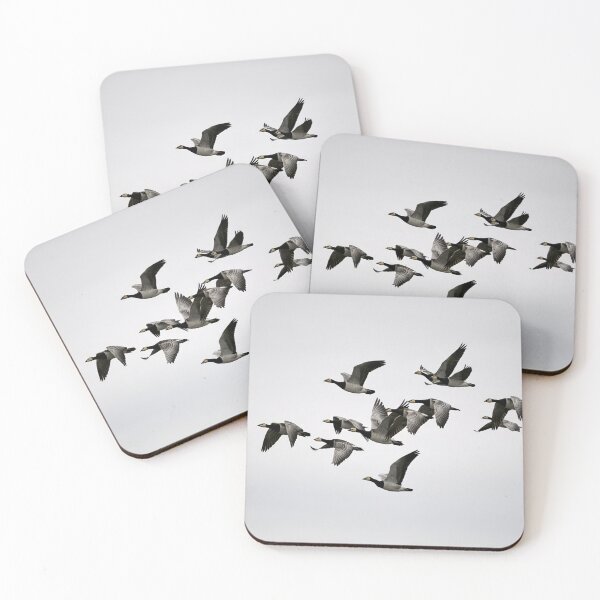 Item preview, Fly fly fly. Barnacle goose designed and sold by Jouko Lehto Photography.