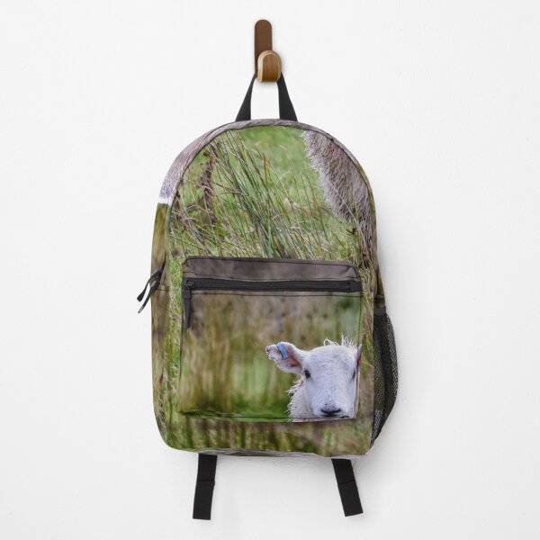 Item preview, Sheep after the Rain designed and sold by MichaelIery.