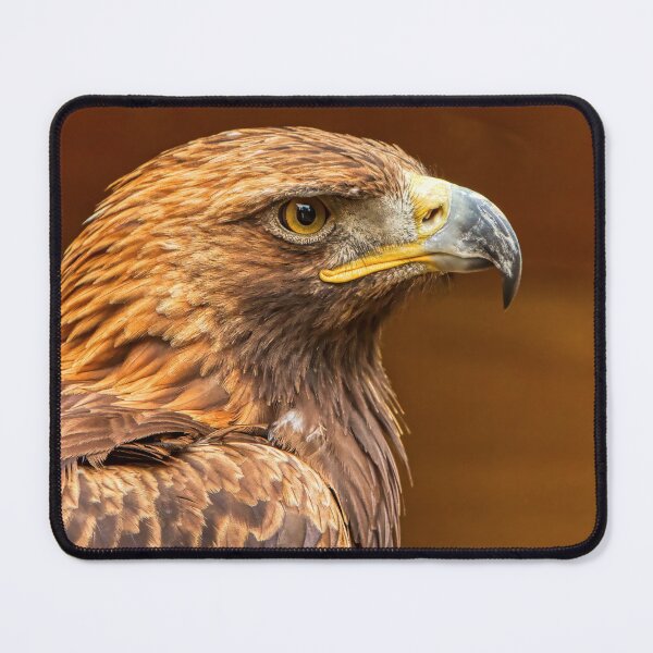 Item preview, Golden Eagle Side Portrait designed and sold by HelkoryoArt.