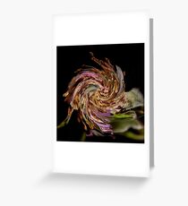 Rosehip with a twirl! Greeting Card