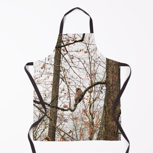 Item preview, Barred Owl in Autumn designed and sold by MichaelIery.