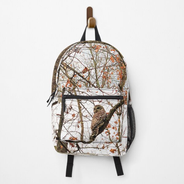 Item preview, Barred Owl in Autumn designed and sold by MichaelIery.