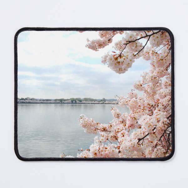 Item preview, Tidal Basin Cherry Blossoms - Washington, DC designed and sold by vozzaphoto.