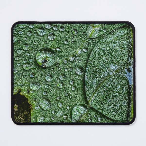 Item preview, Green Leaf in the Rain designed and sold by MichaelIery.