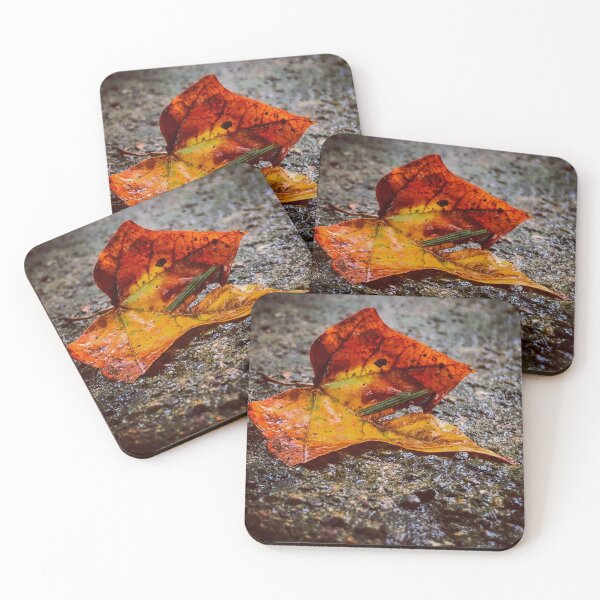 Item preview, Autumn on the Road designed and sold by MichaelIery.