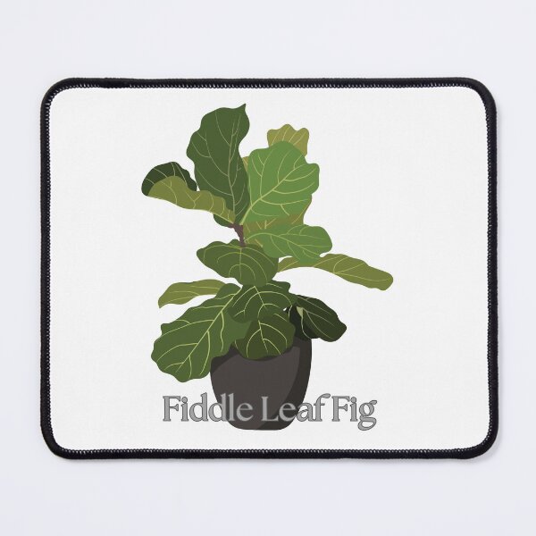 Item preview, Fiddle Leaf Fig designed and sold by TommyTsunami.