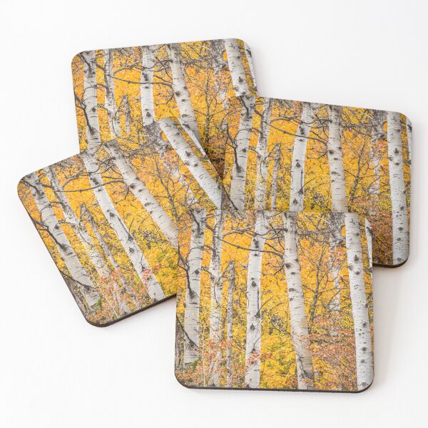 Item preview, Fall Colors in Aspen Trees designed and sold by Tim McGuire Fine Art.