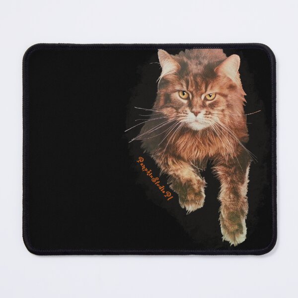 Item preview, Mr. CAT designed and sold by PumpkinStudioPL.