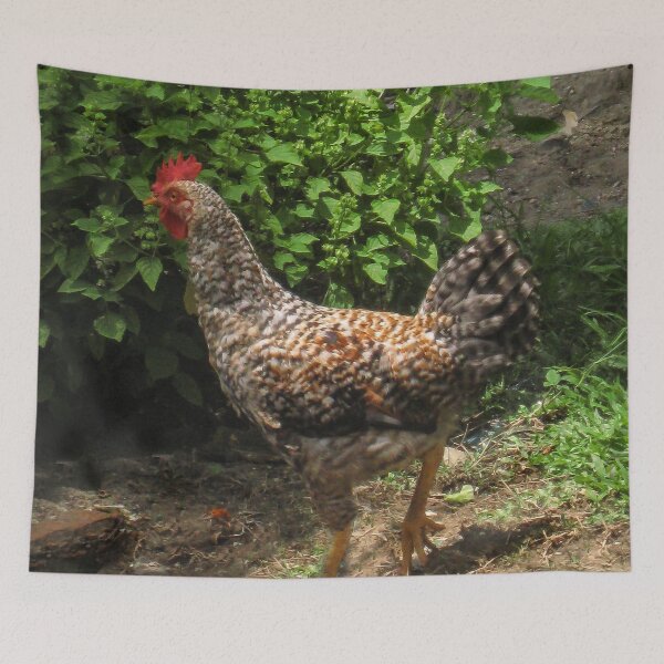 Item preview, Guatemalan Rooster designed and sold by heatherfriedman.