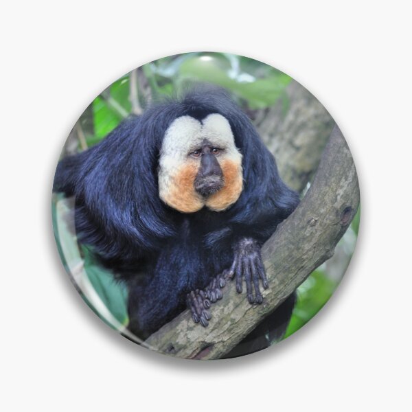Item preview, The Male White Faced Saki Monkey designed and sold by Savannah Gibbs.