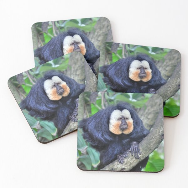 Item preview, The Male White Faced Saki Monkey designed and sold by Savannah Gibbs.