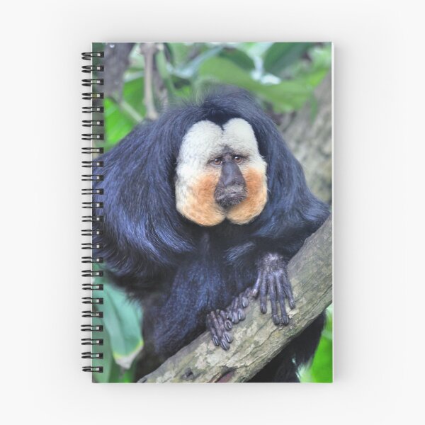 Item preview, The Male White Faced Saki Monkey designed and sold by Savannah Gibbs.