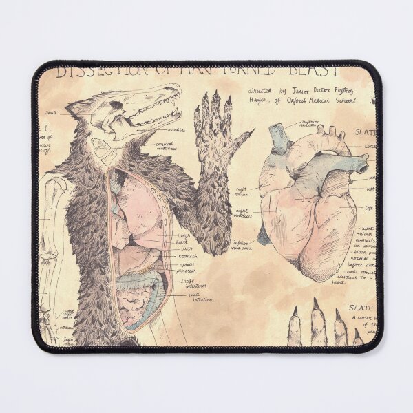 Item preview, Dissection of Werewolf designed and sold by Theosaurus42.