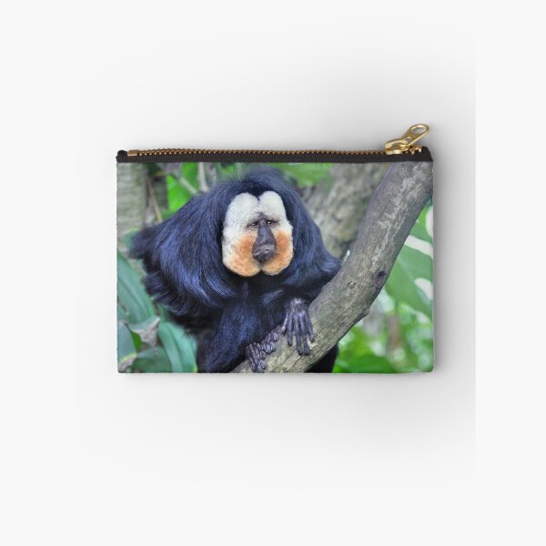 Item preview, The Male White Faced Saki Monkey designed and sold by Savannah Gibbs.