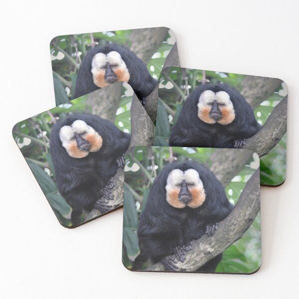 Item preview, Saki Monkey  designed and sold by Savannah Gibbs.