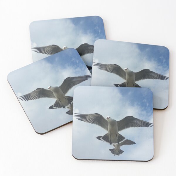 Item preview, Seagull Hovering designed and sold by ACastilloArt.