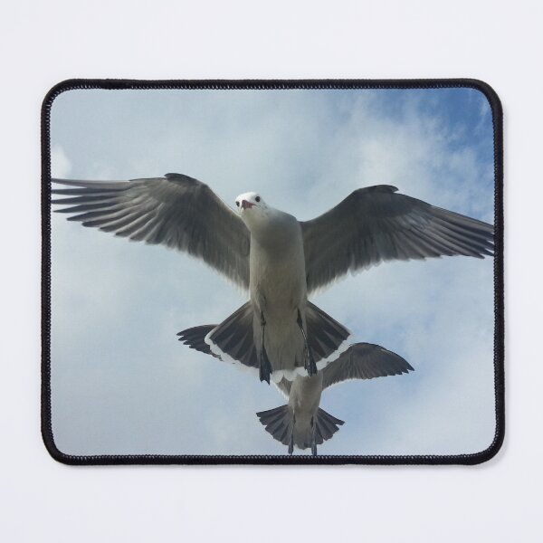 Item preview, Seagull Hovering designed and sold by ACastilloArt.