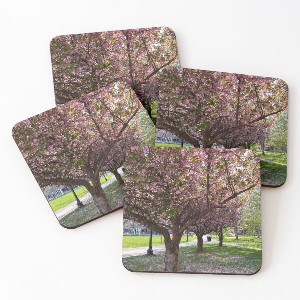 Item preview, Cherry Blossoms in Boston’s South End designed and sold by BadWolfStudios.