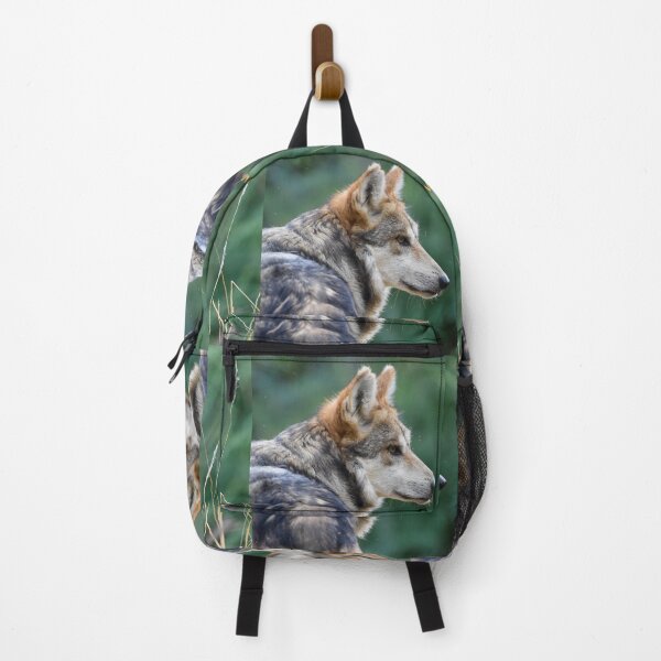 Item preview, Stunning Endangered Mexican Wild Red Wolf in Forest Fine Art Print designed and sold by Yogibear & Rachelle .