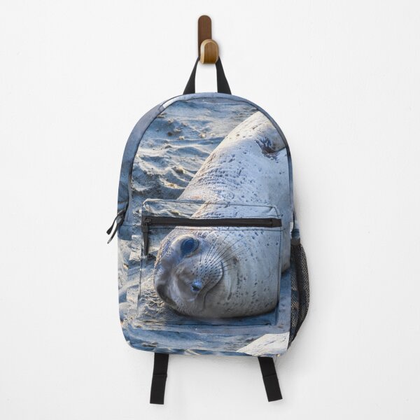 Item preview, Adorable Cute Baby Elephant Seal Pup Fine Art Print designed and sold by Yogibear & Rachelle .