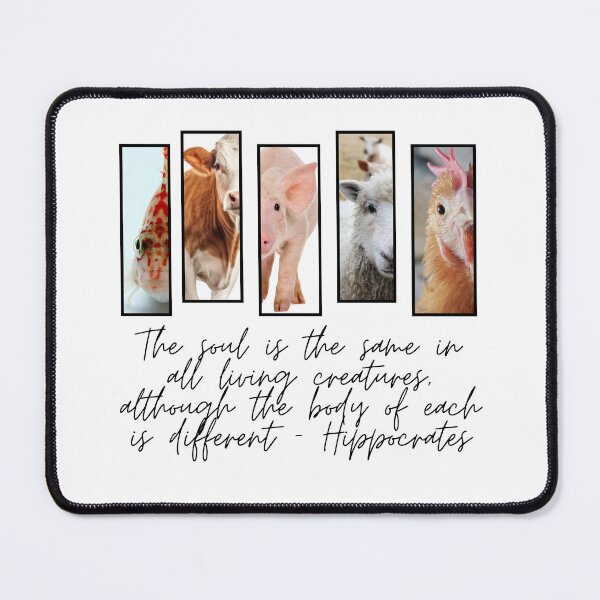 Item preview, Equality designed and sold by Kimberly Czotter.