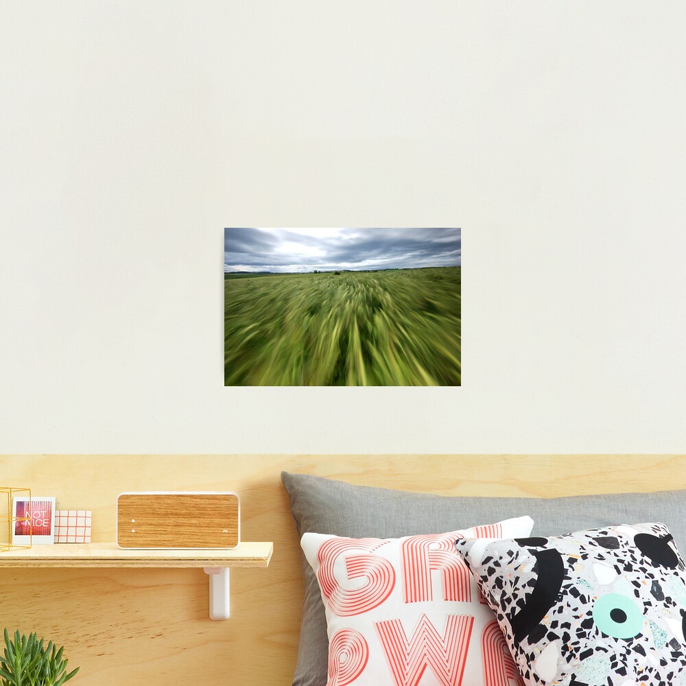 Moving field Photographic Print
