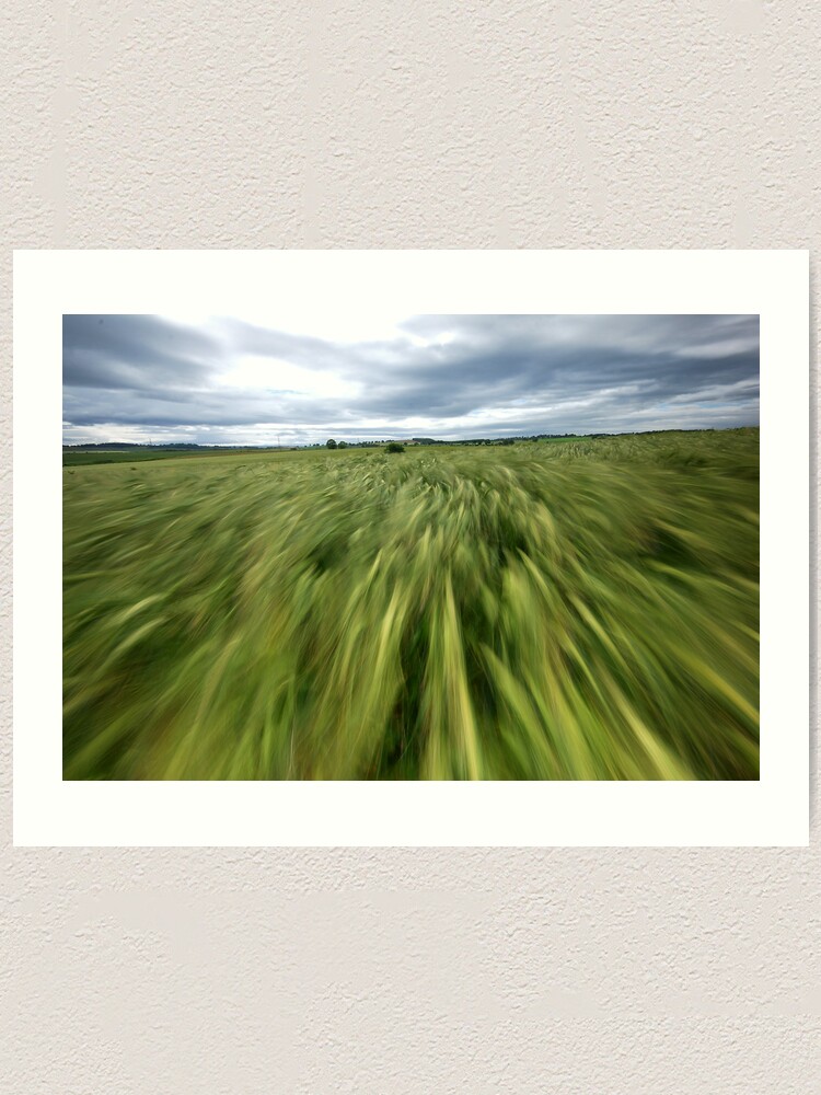 Alternate view of Moving field Art Print