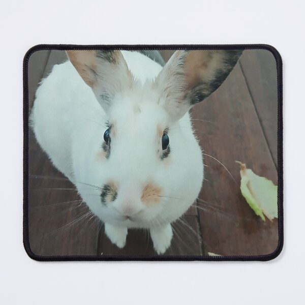 Item preview, Mrbuttons bunny rabbit ? designed and sold by Jarred Chaisson.