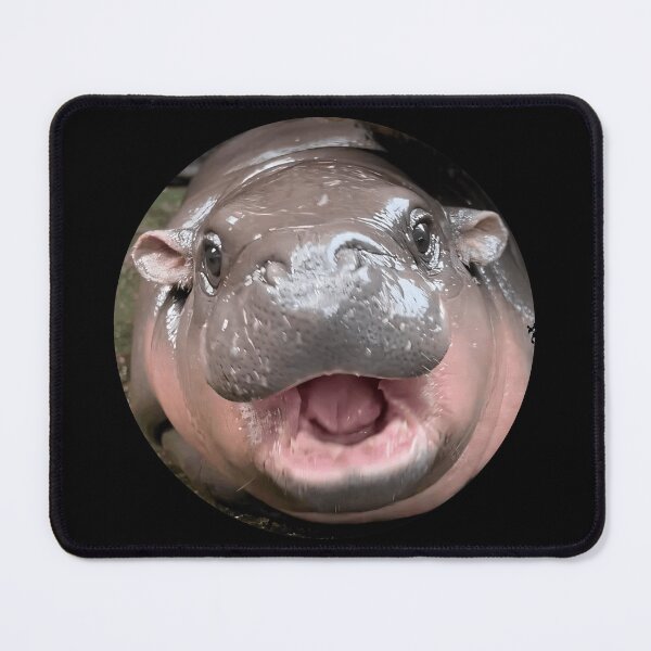 Item preview, Moo Deng Cute Baby Hippo designed and sold by jukara4488.