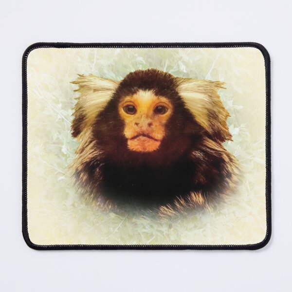 Item preview, Marmoset designed and sold by Guardi71.