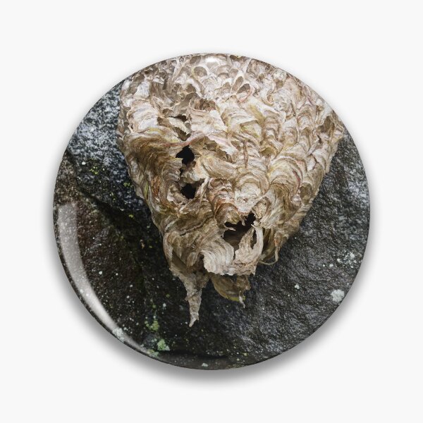 Item preview, Wasphouse on the stonewall designed and sold by Jouko Lehto Photography.