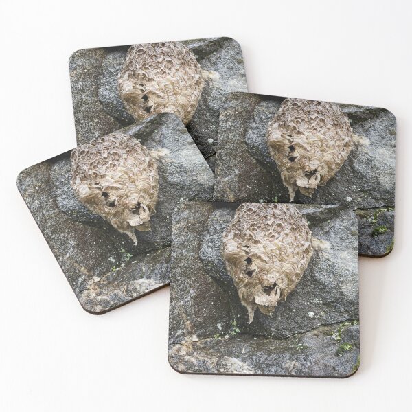 Item preview, Wasphouse on the stonewall designed and sold by Jouko Lehto Photography.