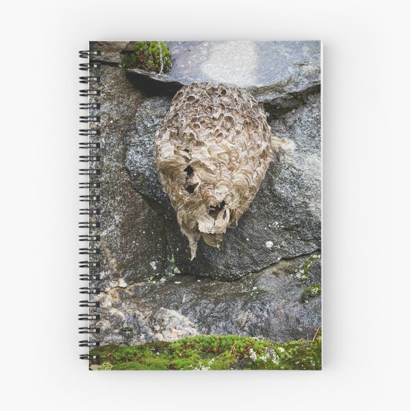 Item preview, Wasphouse on the stonewall designed and sold by Jouko Lehto Photography.