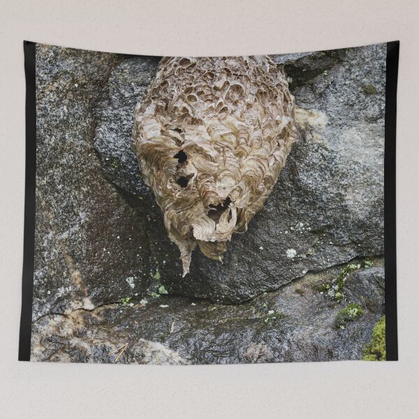 Item preview, Wasphouse on the stonewall designed and sold by Jouko Lehto Photography.