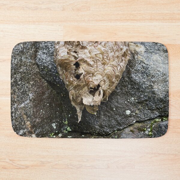 Item preview, Wasphouse on the stonewall designed and sold by Jouko Lehto Photography.