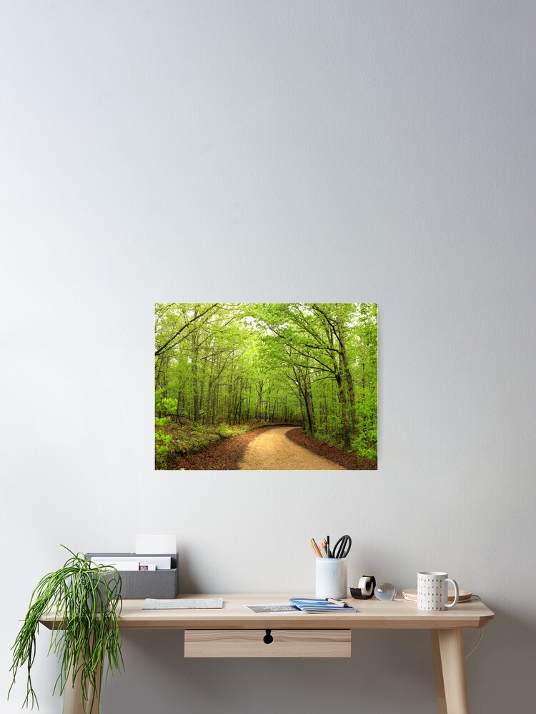 Thumbnail 2 of 3, Poster, Canopy of Green designed and sold by believer9.