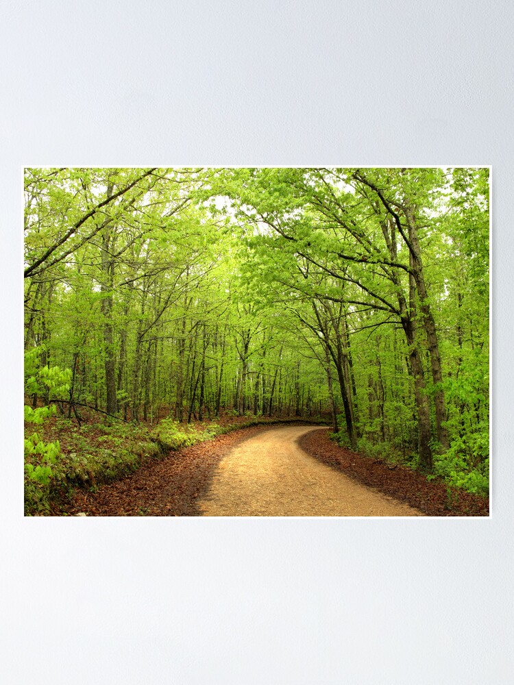 Thumbnail 1 of 3, Poster, Canopy of Green designed and sold by believer9.