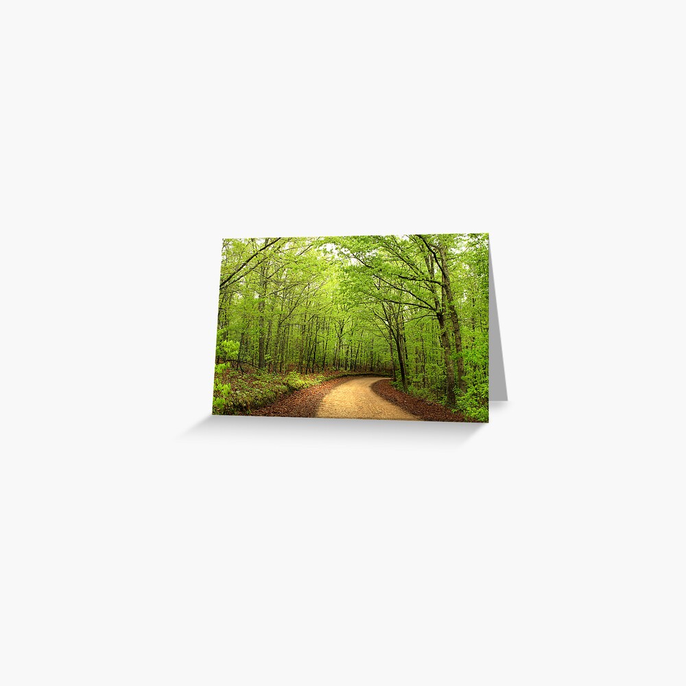 Item preview, Greeting Card designed and sold by believer9.