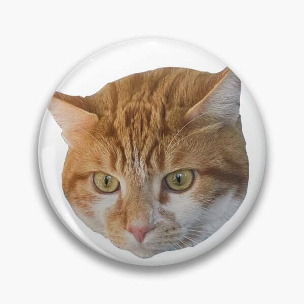 Artikelvorschau, Grumpy Kitty Katzengesicht entworfen und verkauft von PumpkinsMomb.