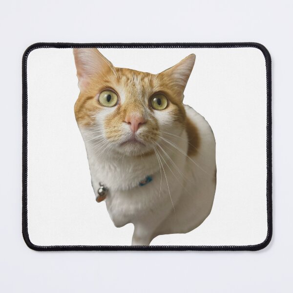 Item preview, Orange Cat Staring at You Cat Called Pumpkin  designed and sold by PumpkinsMomb.