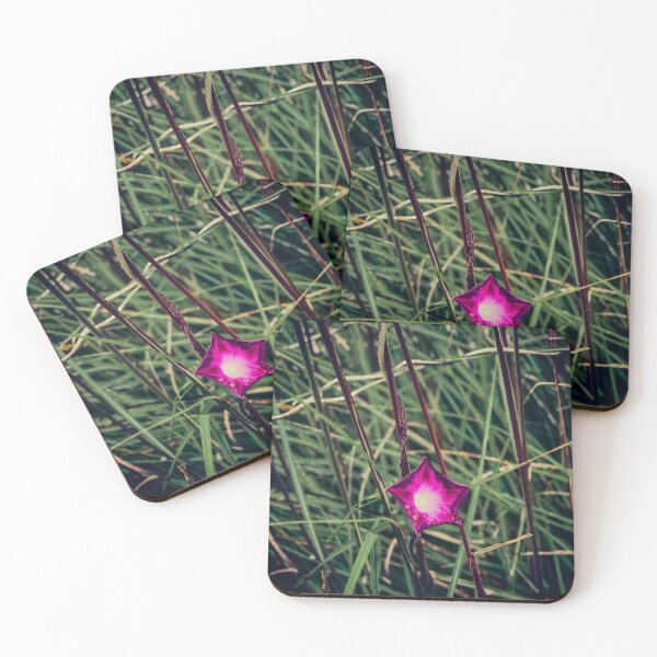 Item preview, Pink Flower in Spring designed and sold by MichaelIery.